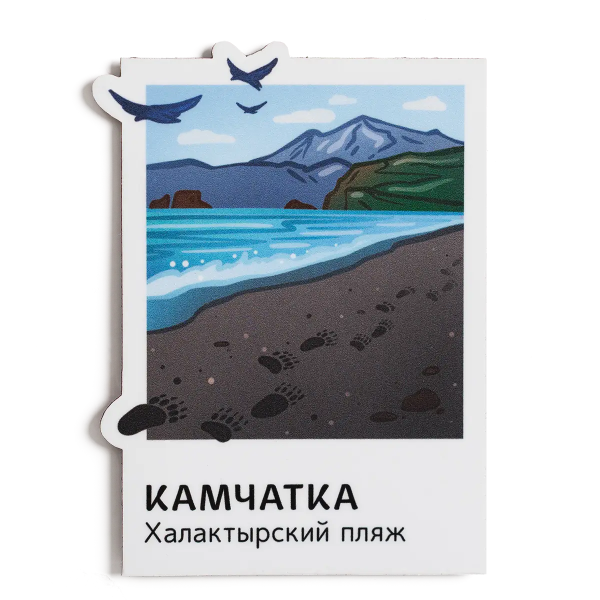 Магнит Vinil Камчатка в кадре, Халактырский пляж