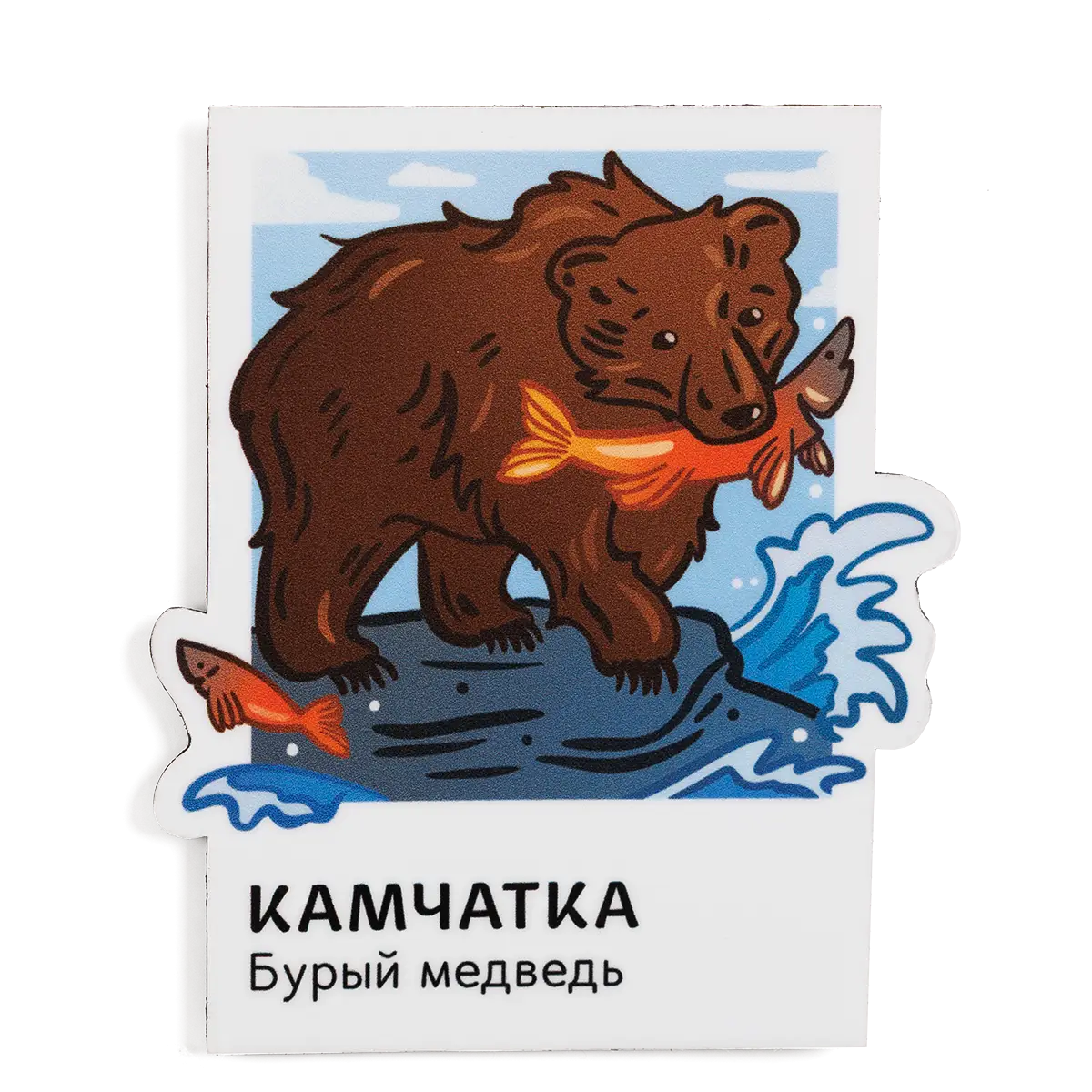 Магнит Vinil Камчатка в кадре